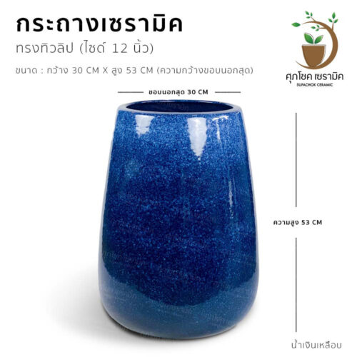 กระถางต้นไม้ กระถางเซรามิก ลายคราม กระถางโมเดิร์น กระถางต้นไม้สวย ๆ กระถางต้นไม้ใหญ่ กระถางมังกร กระถางชวนชม กระถาง กระถาง ลายคราม