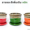 กระถางมินิมอล เซรามิค โมเดิร์น เล็ก น่ารัก 6 นิ้ว กระถางต้นไม้ กระถางเซรามิก กระถางต้นไม้สวย ๆ
