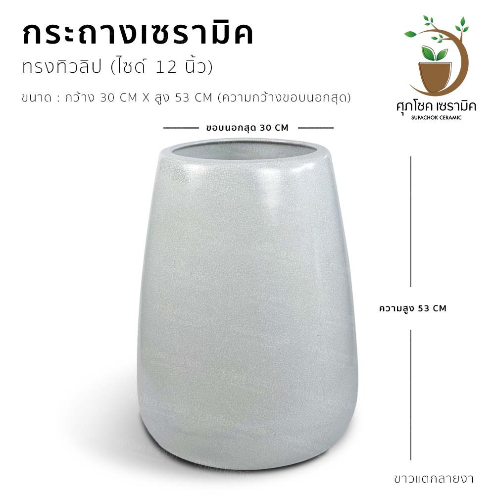 กระถางต้นไม้ กระถางเซรามิก ลายคราม กระถางโมเดิร์น กระถางต้นไม้สวย ๆ กระถางต้นไม้ใหญ่ กระถางมังกร กระถางชวนชม กระถาง กระถาง ลายคราม