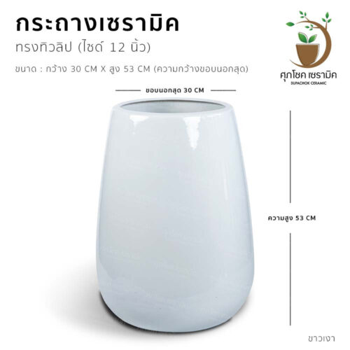 กระถางต้นไม้ กระถางเซรามิก ลายคราม กระถางโมเดิร์น กระถางต้นไม้สวย ๆ กระถางต้นไม้ใหญ่ กระถางมังกร กระถางชวนชม กระถาง กระถาง ลายคราม