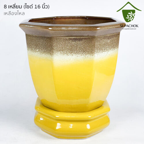 กระถางต้นไม้ กระถางเซรามิก ลายคราม กระถางโมเดิร์น กระถางต้นไม้สวย ๆ กระถางต้นไม้ใหญ่ กระถางมังกร กระถางชวนชม กระถาง กระถาง ลายคราม