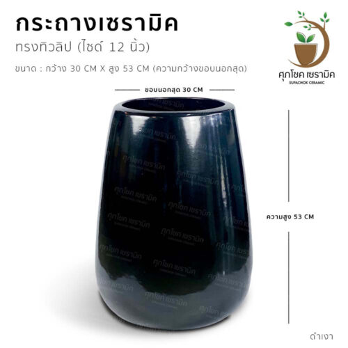 กระถางต้นไม้ กระถางเซรามิก ลายคราม กระถางโมเดิร์น กระถางต้นไม้สวย ๆ กระถางต้นไม้ใหญ่ กระถางมังกร กระถางชวนชม กระถาง กระถาง ลายคราม