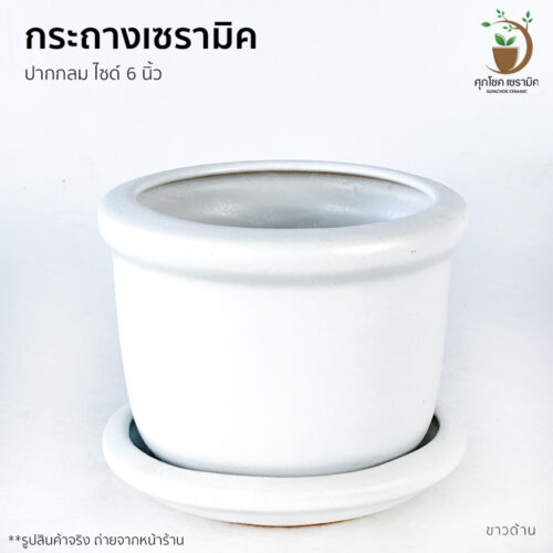 กระถางมินิมอล เซรามิค โมเดิร์น เล็ก น่ารัก 6 นิ้ว กระถางต้นไม้ กระถางเซรามิก กระถางต้นไม้สวย ๆ