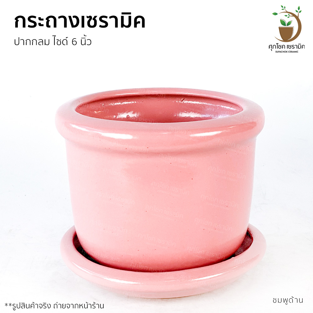 กระถางมินิมอล เซรามิค โมเดิร์น เล็ก น่ารัก 6 นิ้ว กระถางต้นไม้ กระถางเซรามิก กระถางต้นไม้สวย ๆ