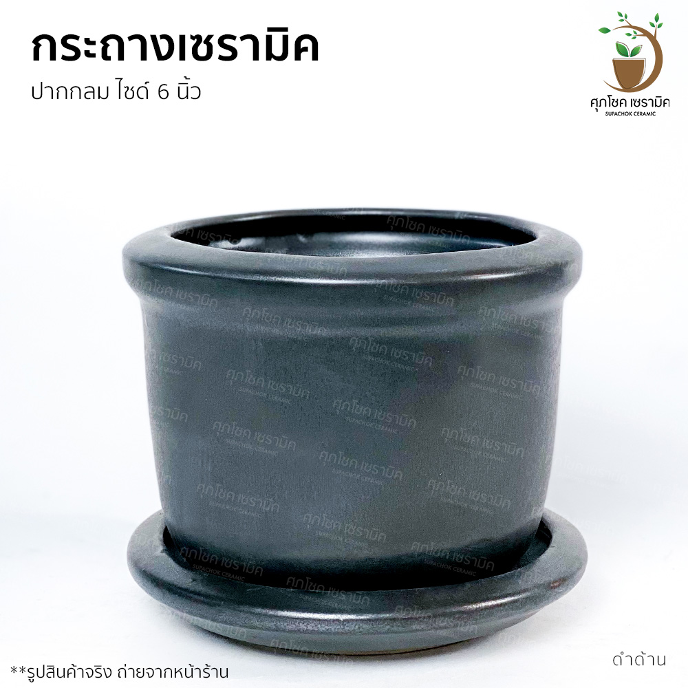 กระถางมินิมอล เซรามิค โมเดิร์น เล็ก น่ารัก 6 นิ้ว กระถางต้นไม้ กระถางเซรามิก กระถางต้นไม้สวย ๆ